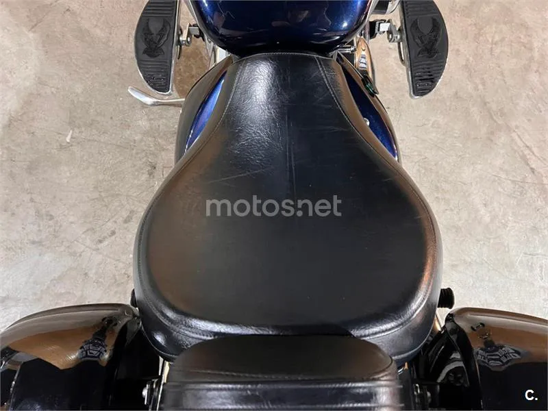 Suzuki VL 800 Intruder Volusia – Vista 18