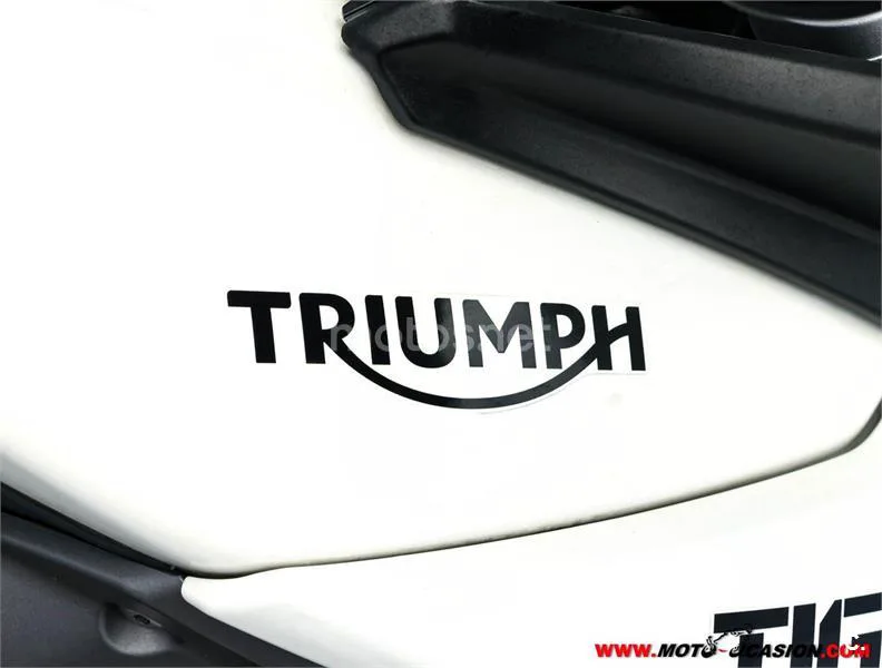 Triumph Tiger 800 XR – Vista 9