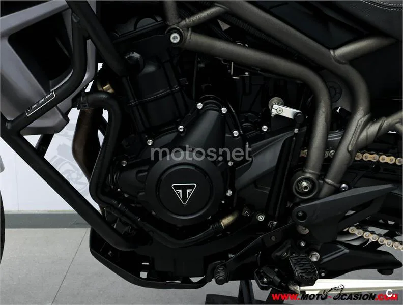 Triumph Tiger 800 XR – Vista 10