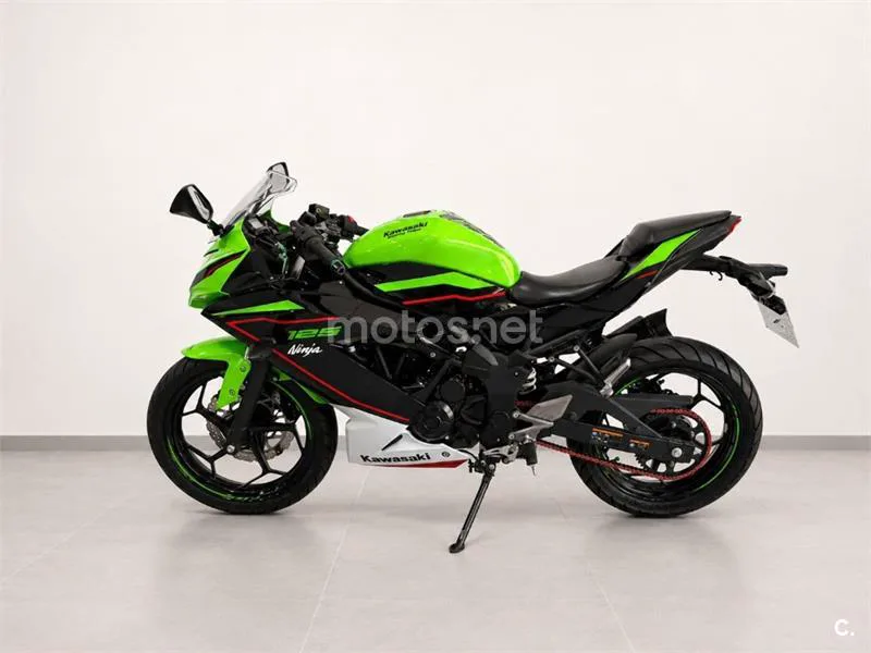 Kawasaki Ninja 125 – Vista 8