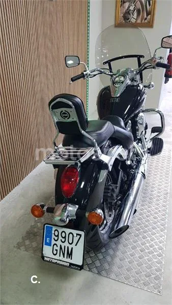 Kawasaki VN 900 Classic – Vista 5