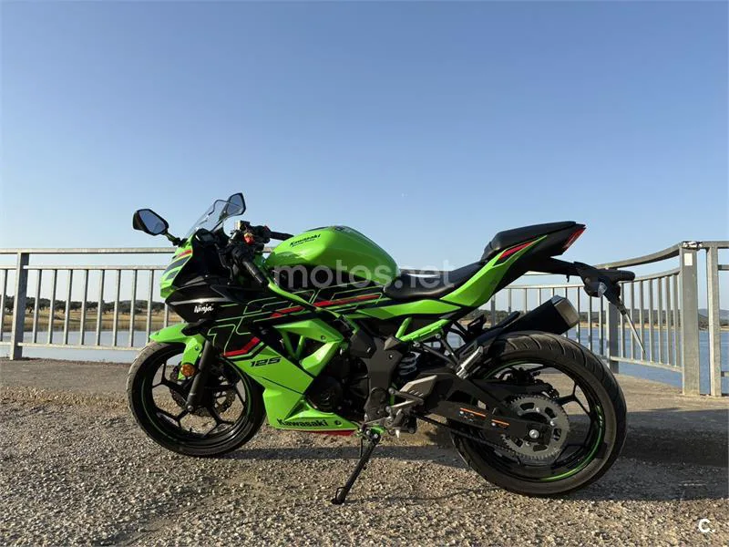 Kawasaki Ninja 125 – Vista 2