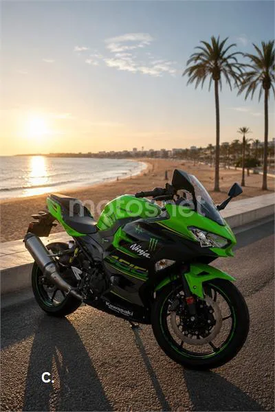 Kawasaki Ninja 400 – Vista 8