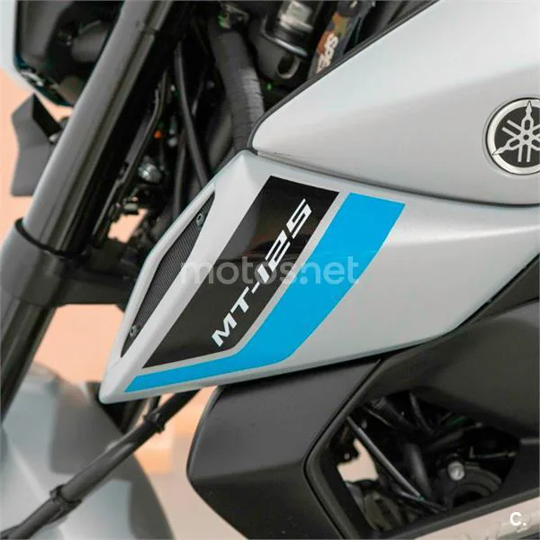 Yamaha MT-125 – Vista 9