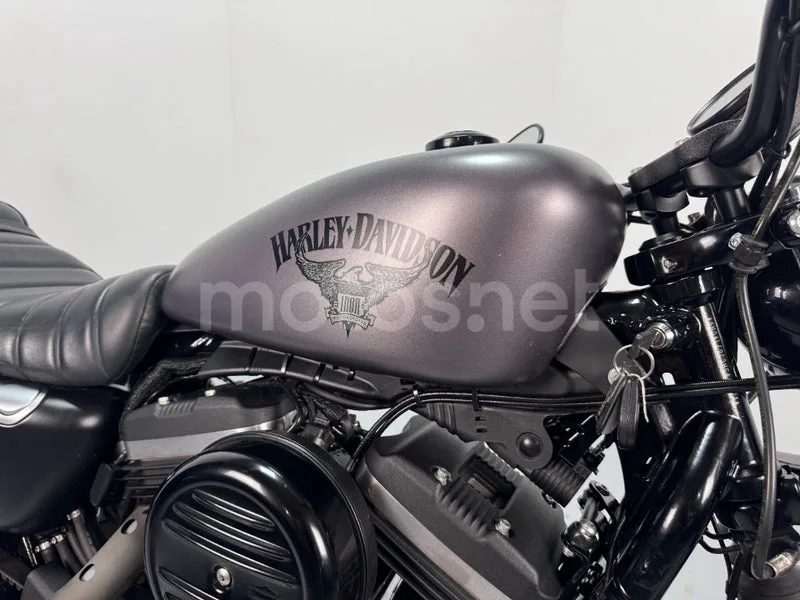 Harley-Davidson Sportster 883 - Vista 12
