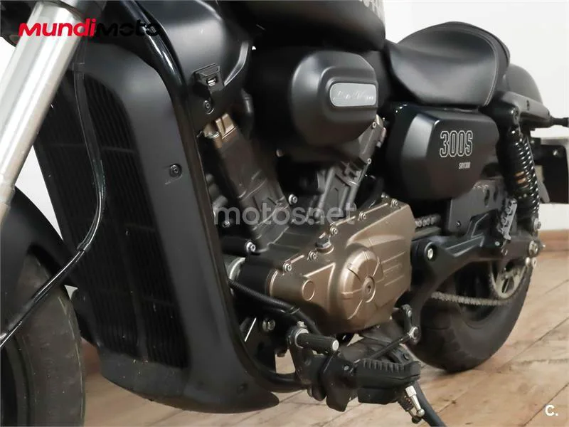 QJ Motor SRV 300 – Vista 10