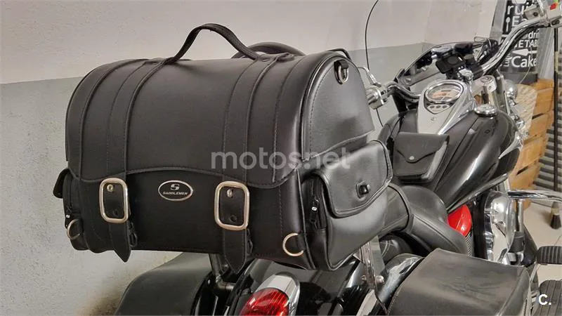 Kawasaki VN 900 Light Tourer – Vista 7