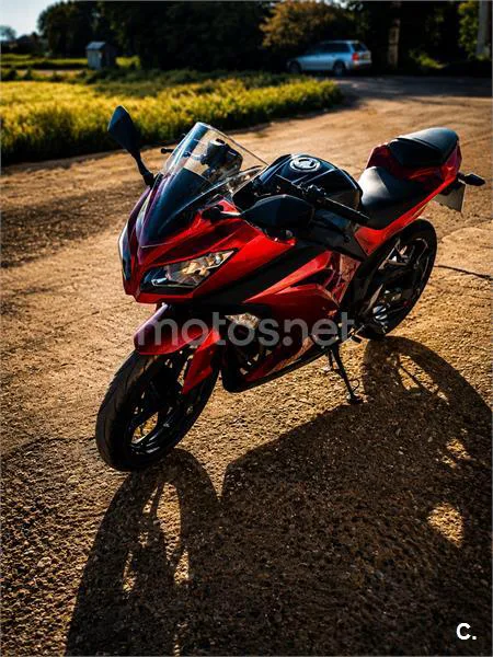 Kawasaki Ninja 300 – Vista 5