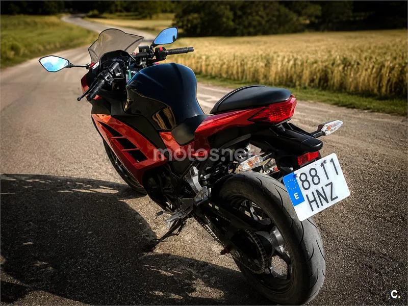 Kawasaki Ninja 300 – Vista 8