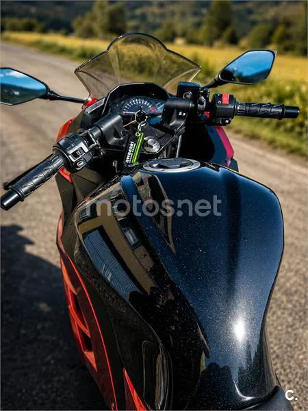 Kawasaki Ninja 300 – Vista 9