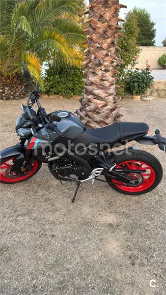 Yamaha MT-125 – Vista 3
