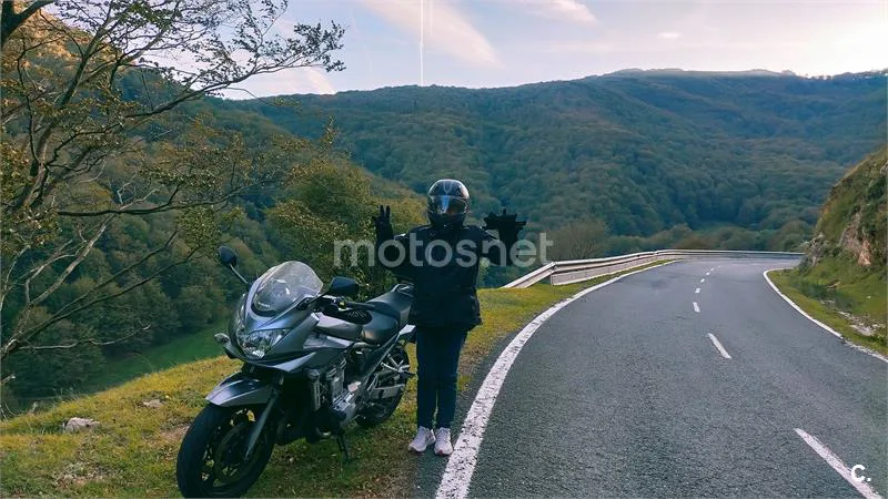 Suzuki Bandit 650 S – Vista 6