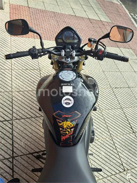 Honda CB 600 F Hornet – Vista 5