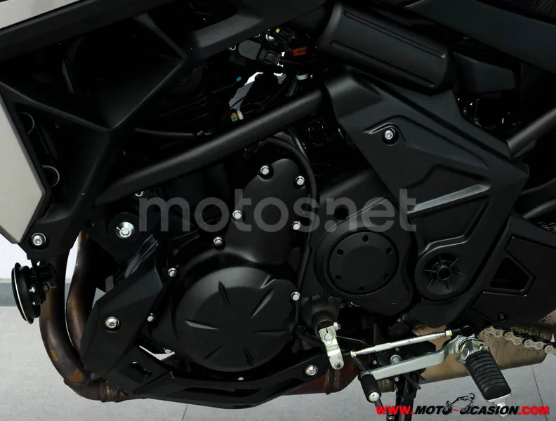 Kawasaki Versys – Vista 10