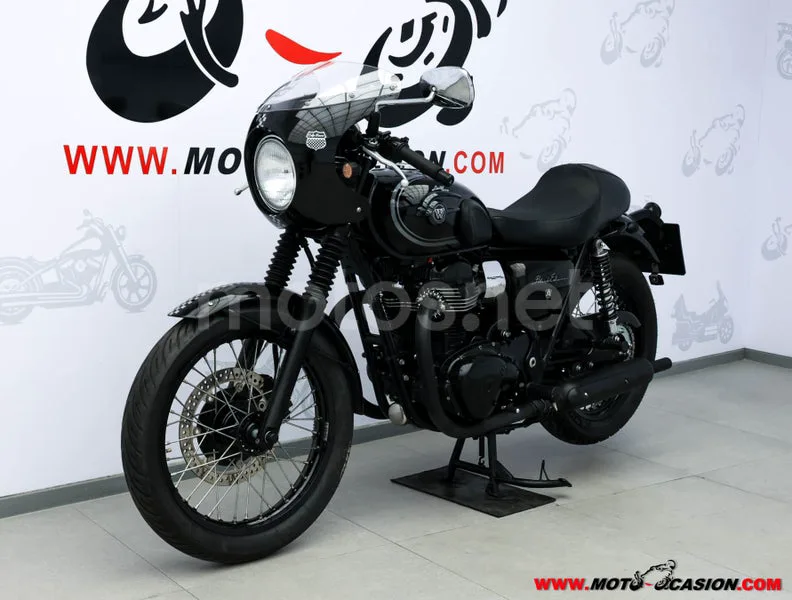 Kawasaki W800 – Vista 8