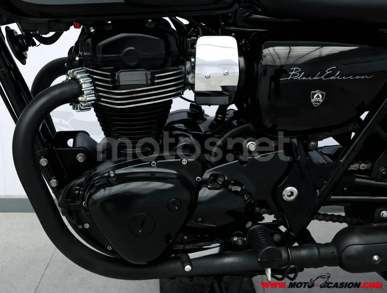 Kawasaki W800 – Vista 10