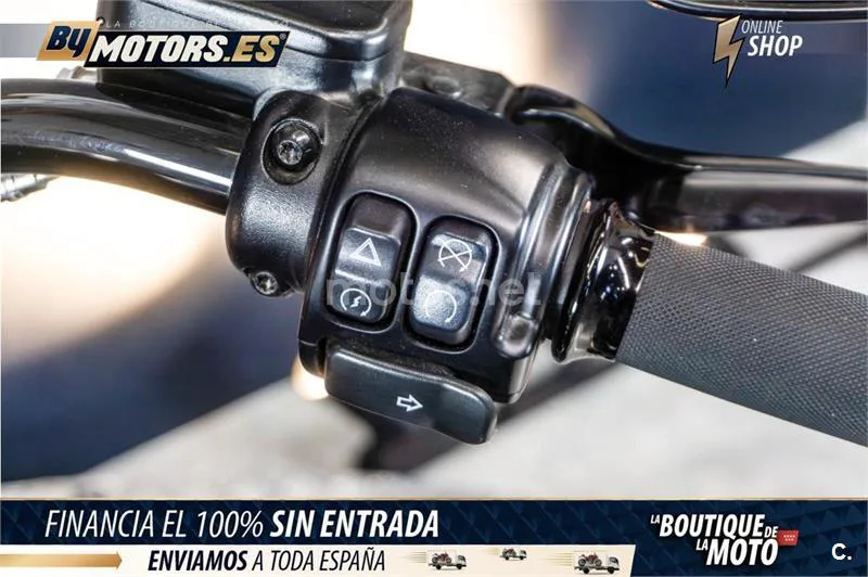 Harley-Davidson Softail Slim – Vista 13