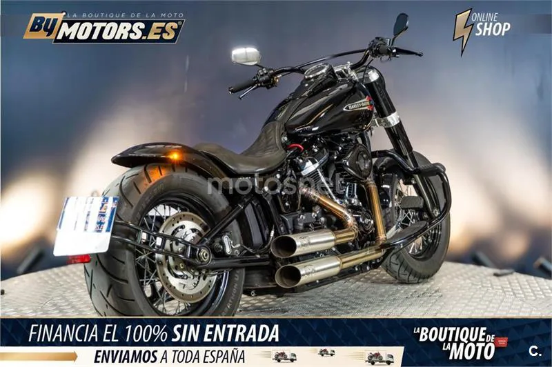 Harley-Davidson Softail Slim – Vista 4