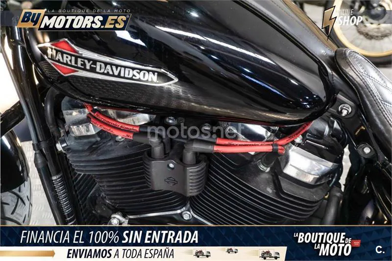 Harley-Davidson Softail Slim – Vista 10