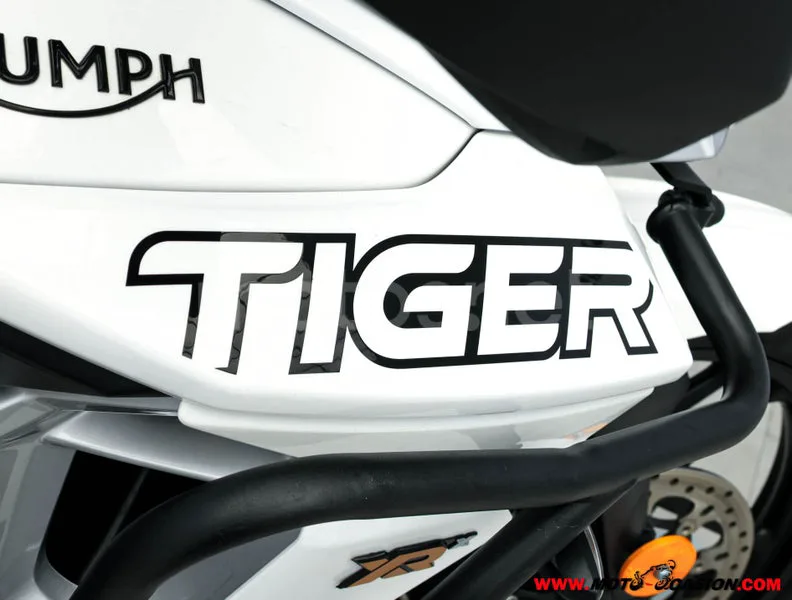 Triumph Tiger 800 XR – Vista 8