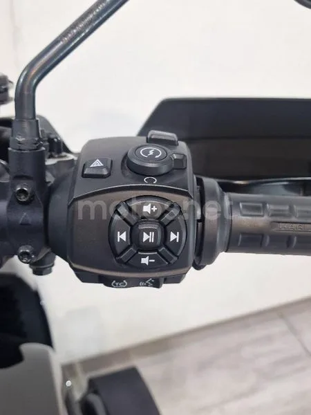 Harley-Davidson Pan America 1250 – Vista 12