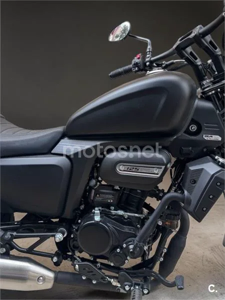 Cyclone RA 125 Plus – Vista 5