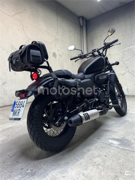 Cyclone RA 125 Plus – Vista 9