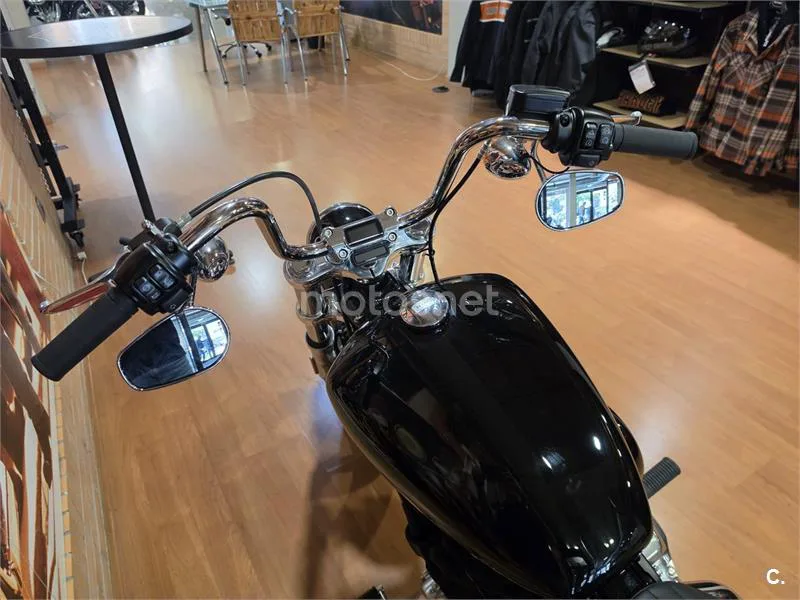 Harley-Davidson Softail Standard – Vista 6