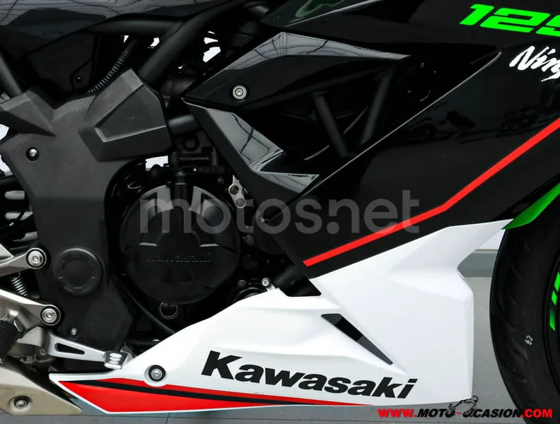 Kawasaki Ninja 125 – Vista 5