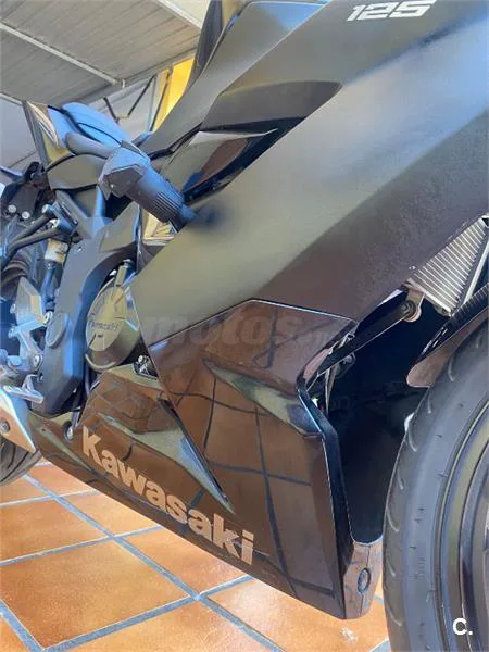 Kawasaki Ninja 125 – Vista 2