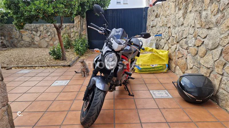 Suzuki SFV 650 Gladius – Vista 3