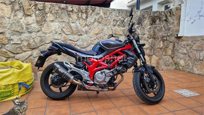 Suzuki SFV 650 Gladius – Vista 4