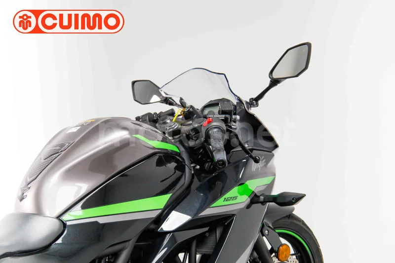 Kawasaki Ninja 125 – Vista 15