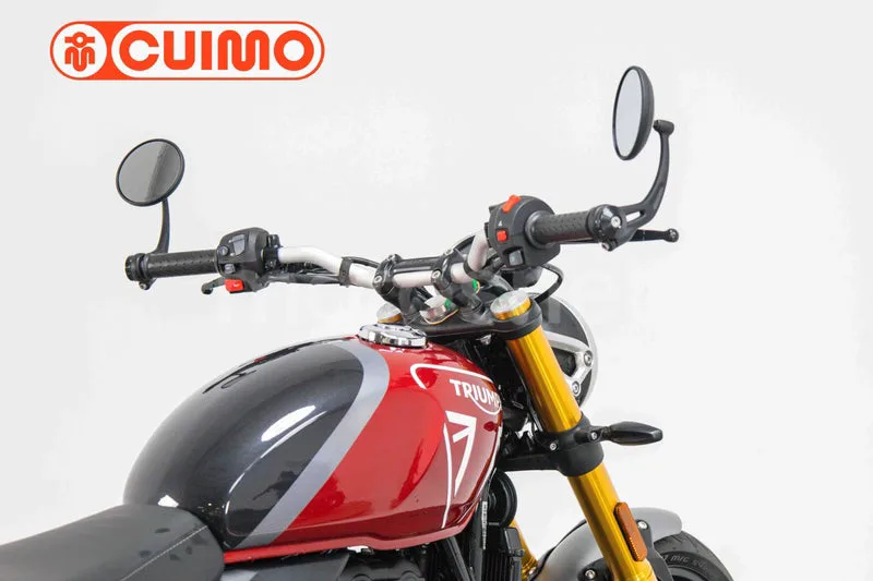 Triumph Speed 400 – Vista 10