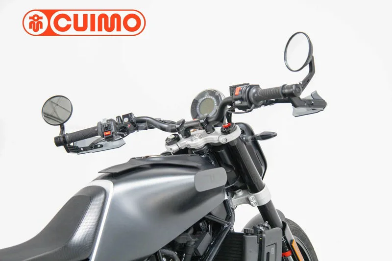 Husqvarna Svartpilen 701 – Vista 10