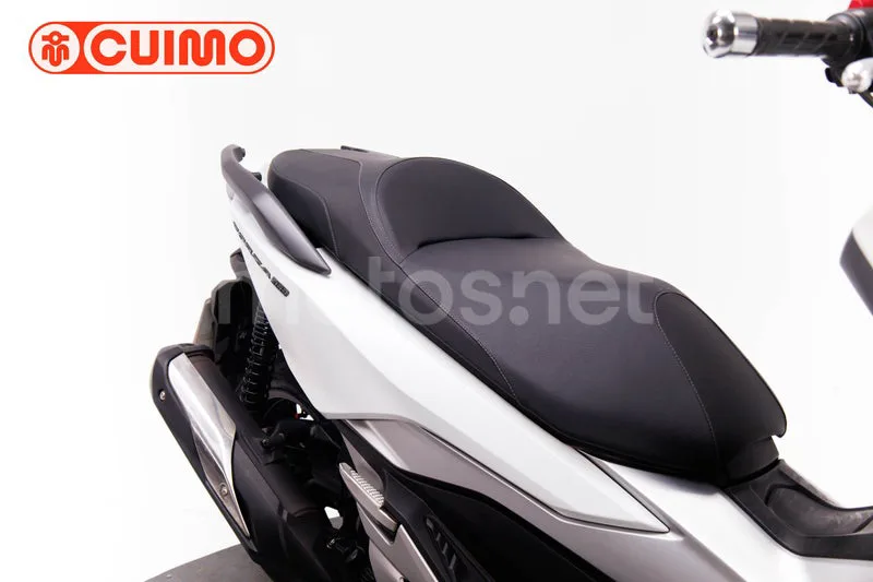 Honda Forza – Vista 12