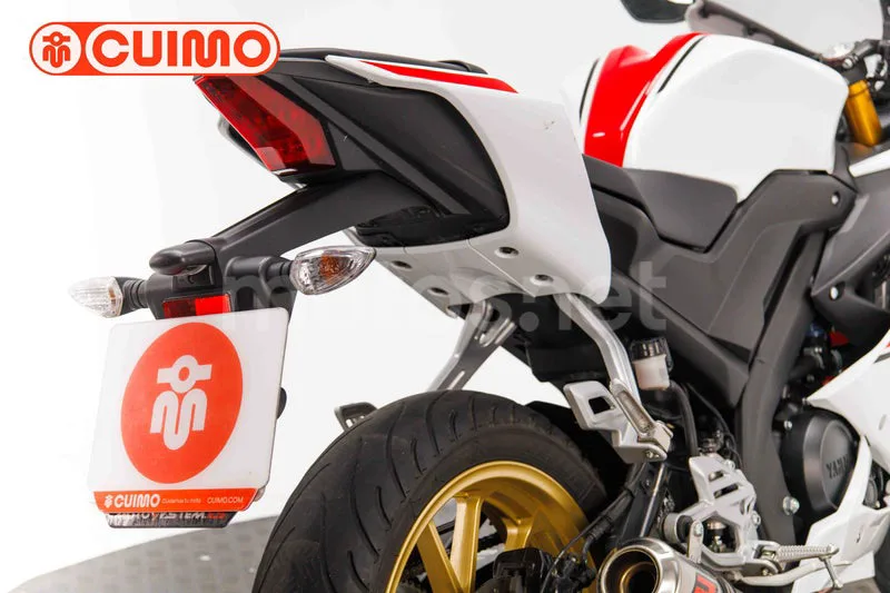Yamaha R125 – Vista 30