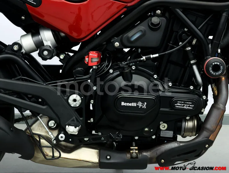 Benelli Leoncino 500 Trail – Vista 5