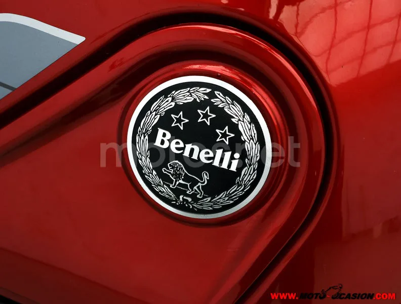 Benelli Leoncino 500 Trail – Vista 9