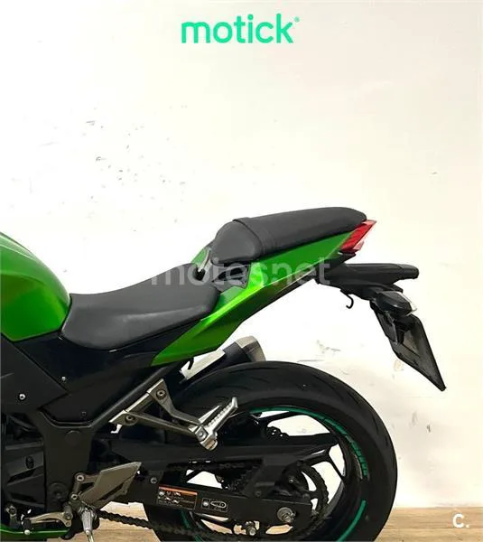 Kawasaki Z300 – Vista 7