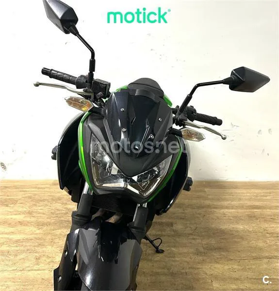Kawasaki Z300 – Vista 8