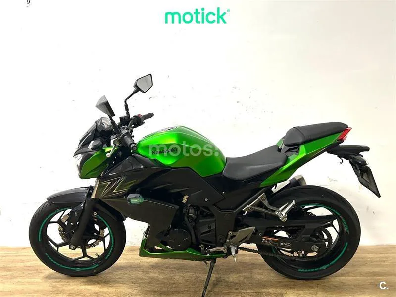 Kawasaki Z300 – Vista 5