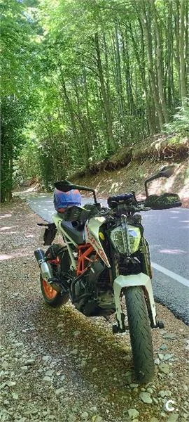 KTM 390 – Vista 5