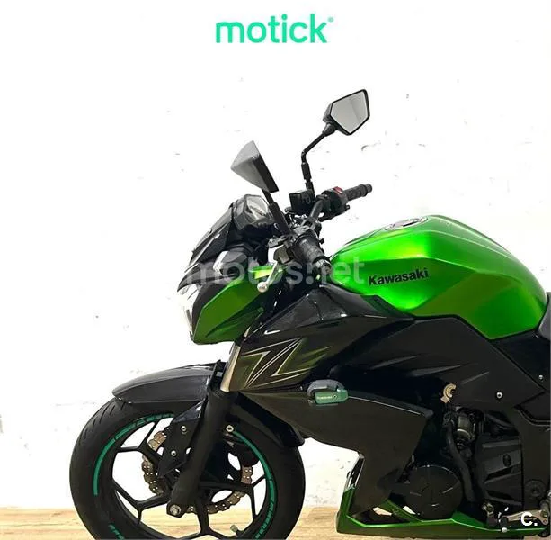 Kawasaki Z300 – Vista 6