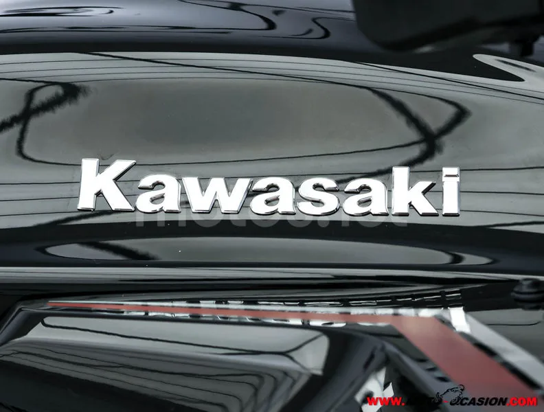 Kawasaki Ninja 1000 SX – Vista 9
