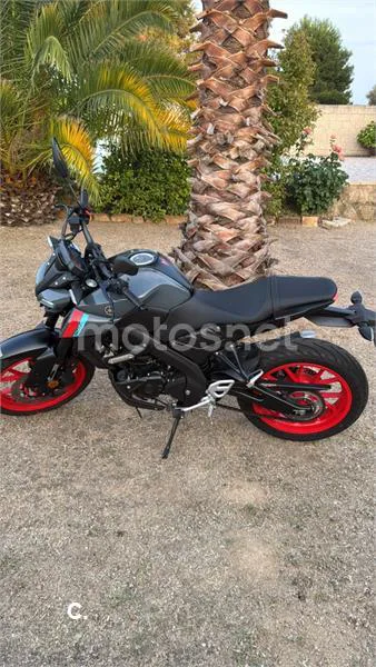 Yamaha MT-125 – Vista 4