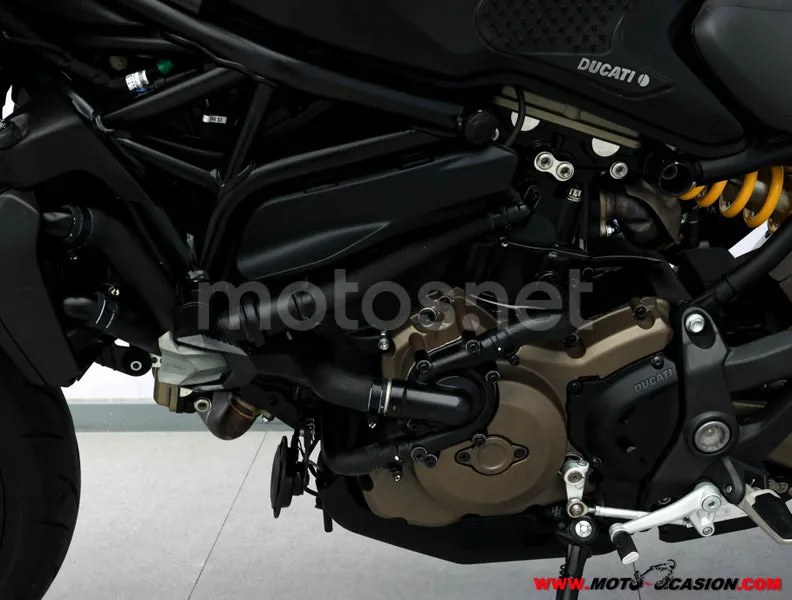 Ducati Monster 821 – Vista 9