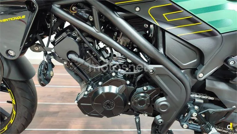 Benelli Leoncino 125 – Vista 31