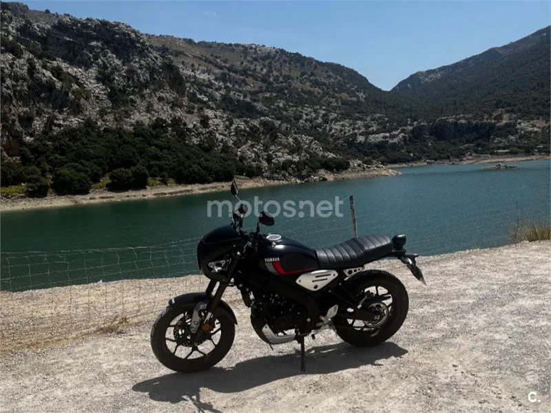 Yamaha XSR125 - Vista 8