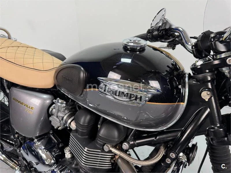Triumph Bonneville T100 – Vista 17